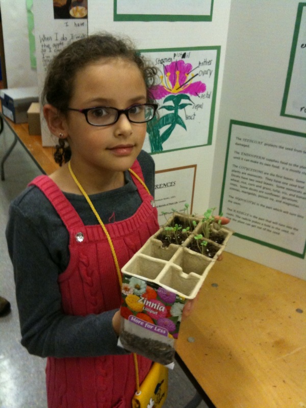 FarnhamPittsfieldScienceFair