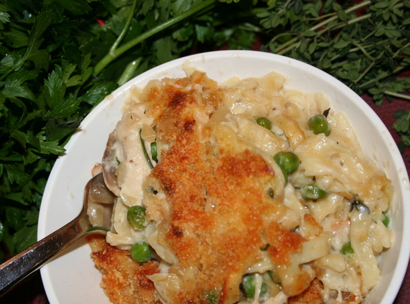 webster-chicken-tetrazzini.jpg