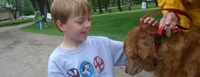 walk-and-wag-2.jpg