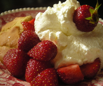 Borden - strawberry shortcake