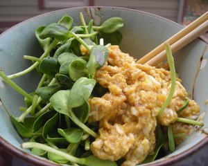 Borden - sunflower microgreens with eggs