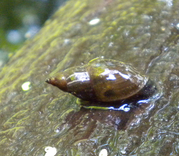 DSCN1888.JPG