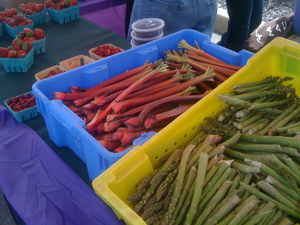 Borden - seedling stall at wsfm