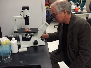 Roger Newton at microscope.JPG