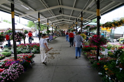 ann arbor farmers market.jpg