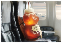honey-bear-on-plane.jpg