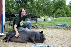 Thumbnail image for jm-animalsanctuary-03-1jpgjpg-f05d7c8047807ecb_large.jpg