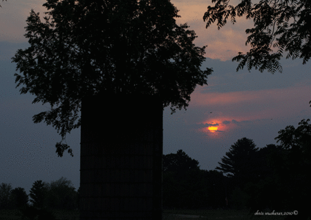 sunrisewithsig.gif