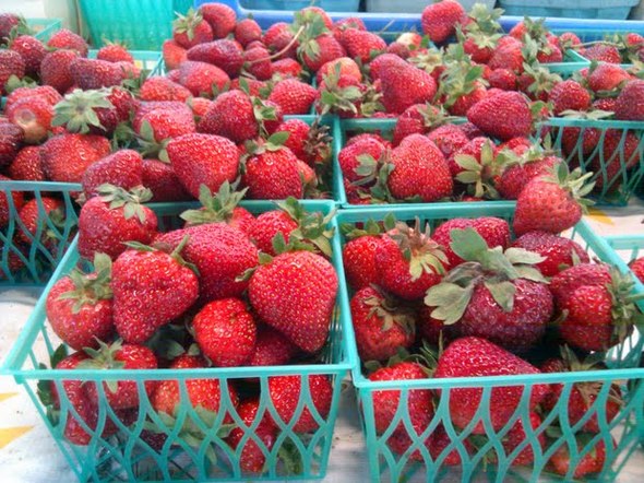 tantre-strawberries.jpeg