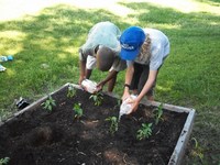 Thumbnail image for Bassett-boys-gardening