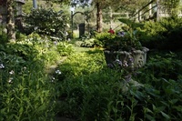 Thumbnail image for 19Greve1.jpg