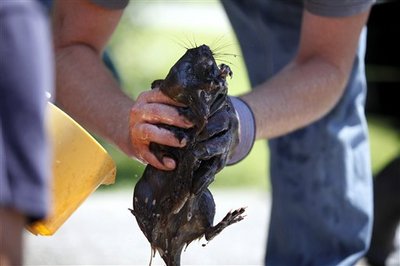 Western-Michigan-Oil-Spill.jpg