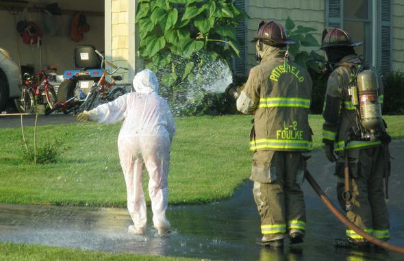  approximately 1000 bees attacked her in the driveway of her Pittsfield 