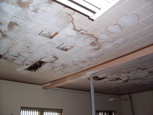 Chelsea-police-ceiling1.jpg