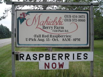 Borden - Makielski Berry Farm sign