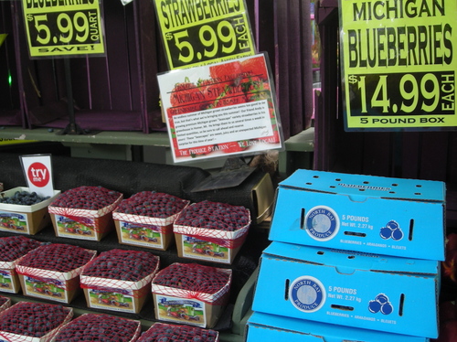 Borden - Pictures of Michigan Blueberries