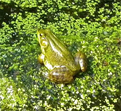 DSCN1869.JPG