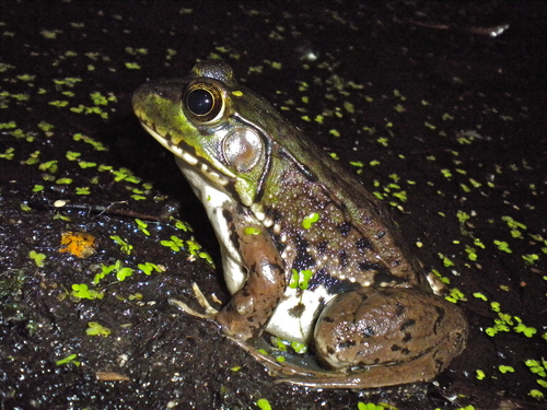 DSCN2038_2.JPG