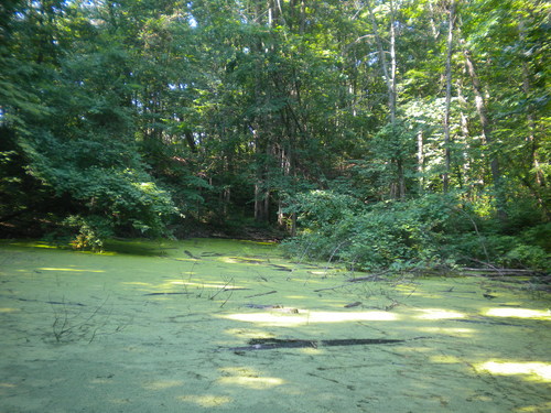 DSCN2577.JPG