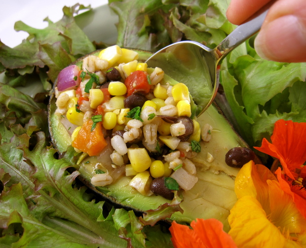 avocadostuffedwithcornandbarleysalad.JPG