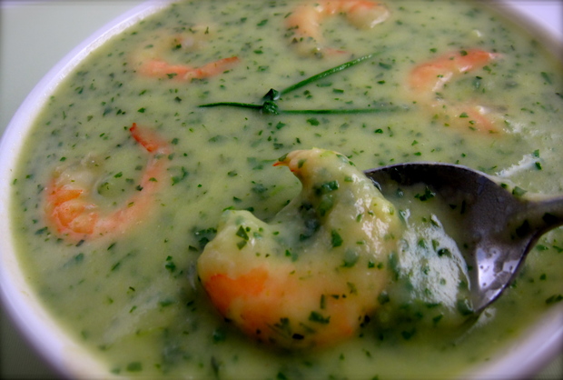 lampmanfreshherbvichyssoisewithshrimp.JPG