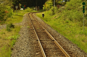 Railroad_tracks.jpg