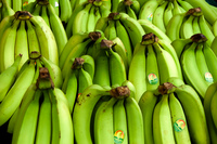 bananas-flickr-toddalert.jpg