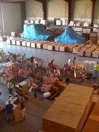 over view of packing with triwalls in background.jpg