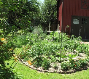 20-Minute-Garden.jpg