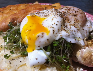 Borden - poached egg on toast