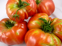 lampmanheirloomtomatoes.JPG