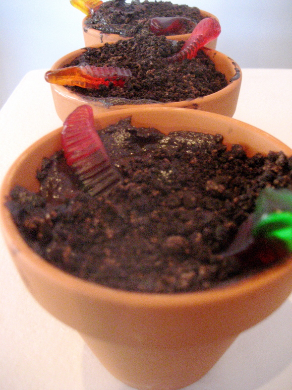 dirtcake.jpg