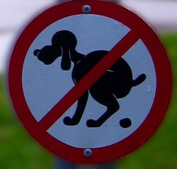 dog-nopooping.jpg