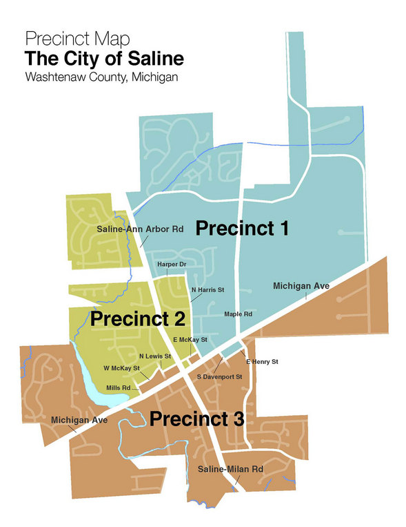 saline-precinct-map.jpg