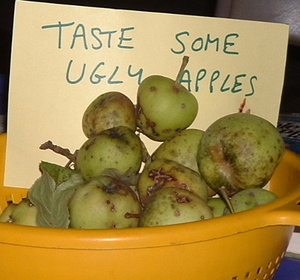 ugly apples.jpg