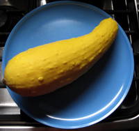 BigSquash.jpg