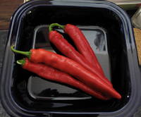 Corno di Toro Peppers.jpg