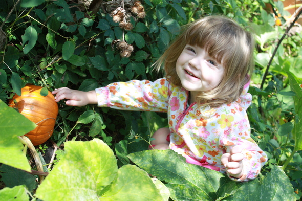 sylpumpkin.JPG