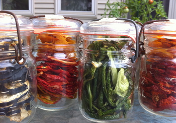 Borden - jars of dried veggies