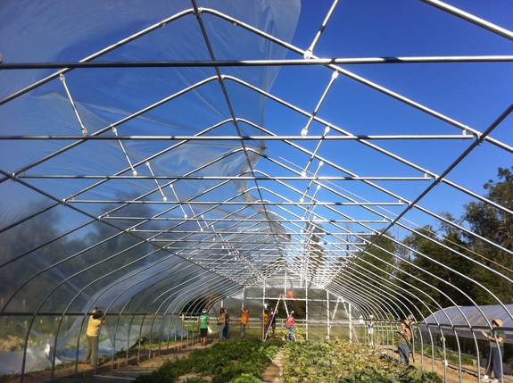 Borden - hoop house build