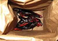 Peppers in bag.jpg