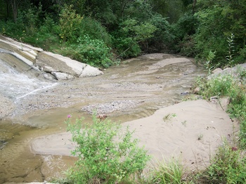 TraverCreek.jpg