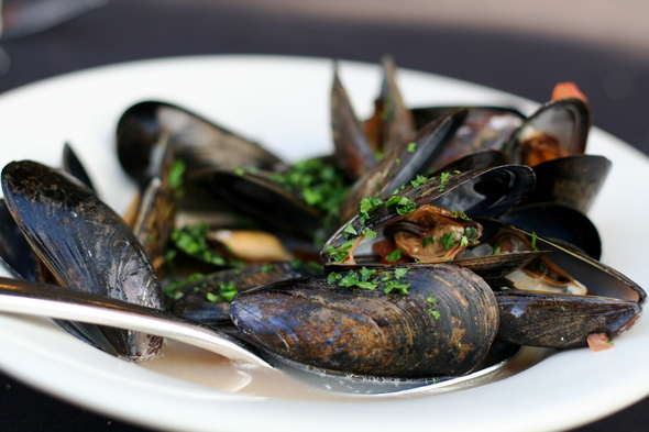 the-earle-mussels.jpg