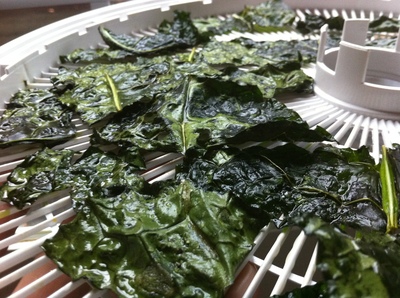 Borden - kale chips