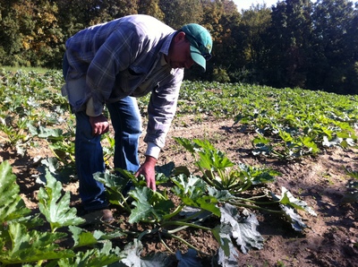 Borden - Jeff Nemeth in the zucchini patch