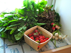 ThreeBoys-Tantre-Farm-Farm-Community-Supported-Agriculture-June-2010