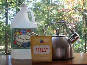 ThreeBoys-how-to-drains-clear