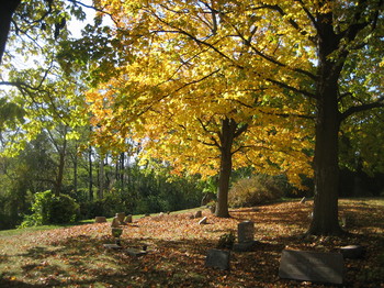 Autumn-trees-cemetery.JPG