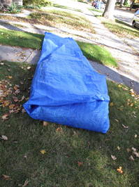 LeafBurrito2.jpg