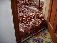 Glidden-Leaves-Piling-Up-At-The-Door.JPG